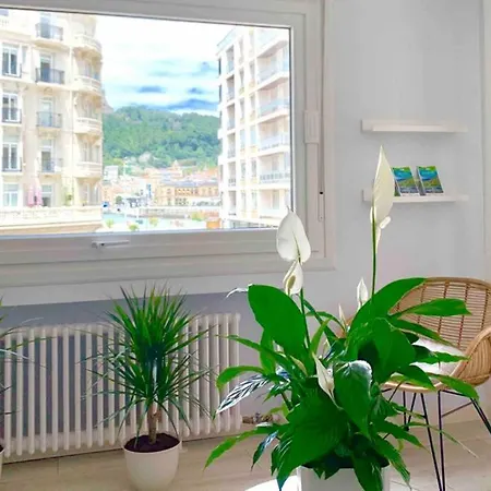 דירה New Gorgeous - Beachfront - 3 Bd *